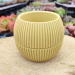 Dekoratif Plastik Su Hazneli Saksı - 11,8*9,2 Cm