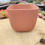 Dekoratif Kare Su Hazneli Plastik Saksı - 11.11*9.5 Cm