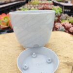 Dekoratif Plastik Saksı - 11.5*10 Cm