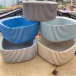 Dekoratif Su Hazneli Kaktüs Arajman Saksı - 16,5*16,5*7,5 Cm