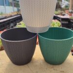 Dekoratif Kaktüs Saksı - 10 * 9,5 Cm