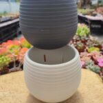 Dekoratif Su Hazneli Saksı - 11,5*10 Cm