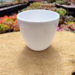 Kaktüs Saksısı - 10*9 Cm