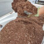 Özel Karışım Kaktüs-Sukulent Toprağı